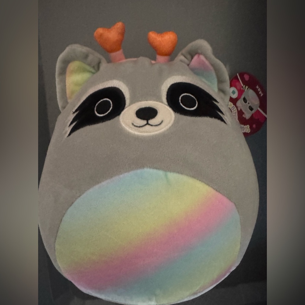 NWT‎ Squishmallows rainbow Racoon Max 2025 Girls toy Stuffed Animal 8”